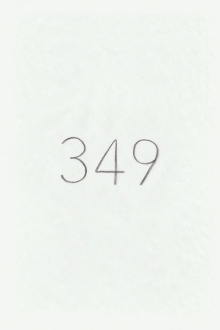 349 Trailer