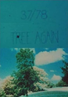 37/78: Tree Again Trailer