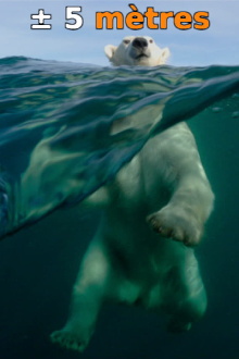 ± 5 Meters From the Surface of the Oceans Trailer
