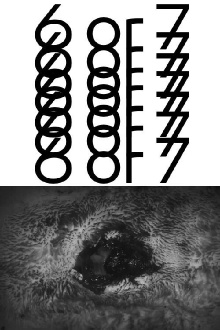 6 or 7 Trailer