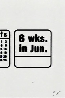 6 Weeks in June Trailer