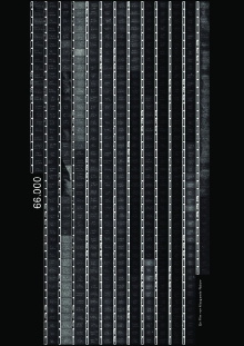 66000 Trailer