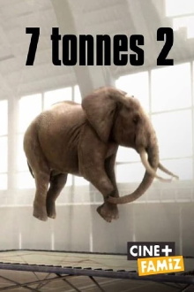7 Tonnes 2 Trailer
