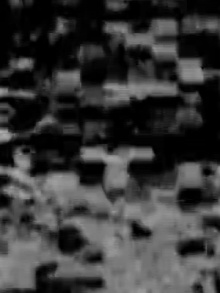 7 Videos: #2 Trailer