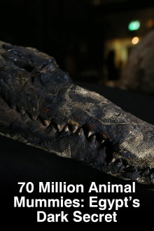 70 Million Animal Mummies: Egypt's Dark Secret Trailer
