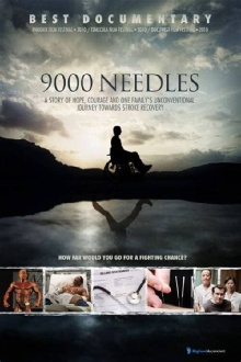 9000 Needles Trailer