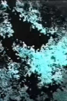 9006 Trailer