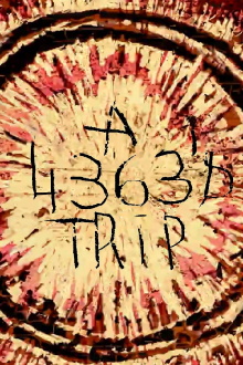 A 4363 Trip Trailer