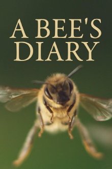 A Bee's Diary Trailer