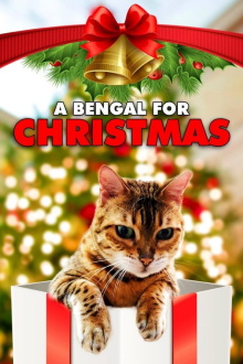 A Bengal for Christmas Trailer