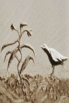A Bird Trailer