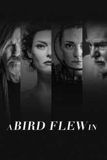 A Bird Flew In Trailer