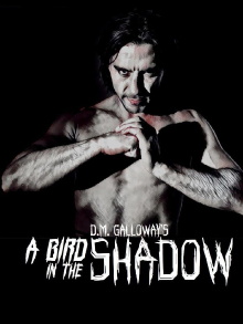 A Bird In The Shadow Trailer