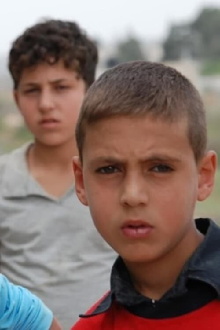 A Boy, A Wall, and A Donkey Trailer