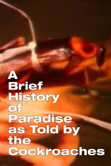 A Brief History of Paradise as Told by the Cockroaches Trailer