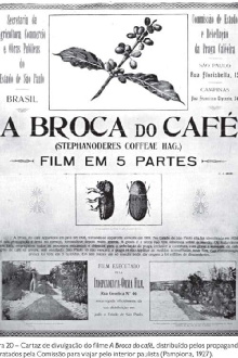 A Broca do Café Trailer