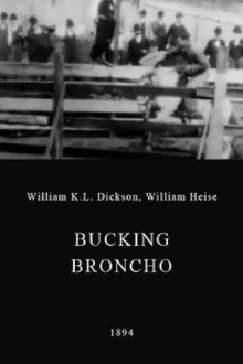 A Bucking Broncho Trailer