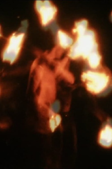 A Burning Thing Trailer