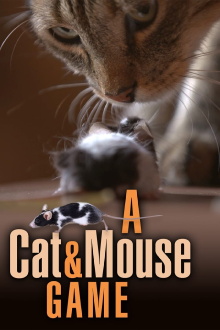 A Cat and Mouse Game Trailer
