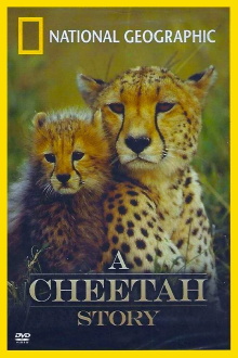 A Cheetah Story Trailer