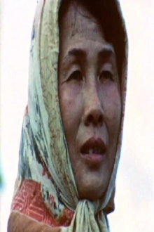 A Chinese Farm Wife Trailer