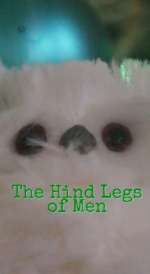 A Christmas Story: The Hind Legs of Men (Their Only Legs) Trailer