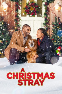 A Christmas Stray Trailer