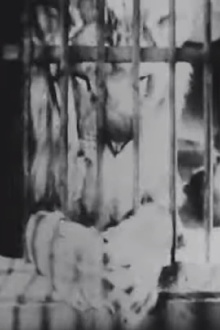 A Circus Wakes Up Trailer
