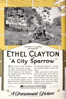 A City Sparrow Trailer
