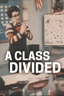 A Class Divided Trailer
