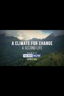 A Climate For Change: A Second Life Trailer