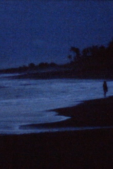 A conversation with the ocean Trailer