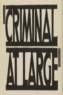 A Criminal at Large Trailer