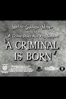 A Criminal Is Born Trailer