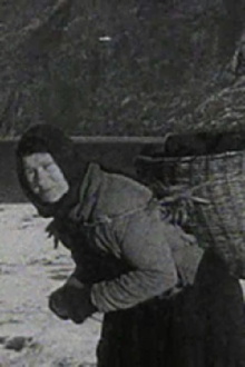 A Crofter's Life in the Shetlands Trailer