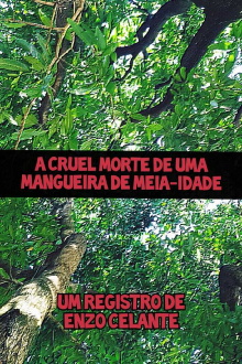 A Cruel Morte de uma Mangueira de Meia-Idade Trailer