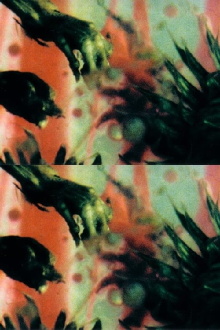 A Darkness Swallowed Trailer