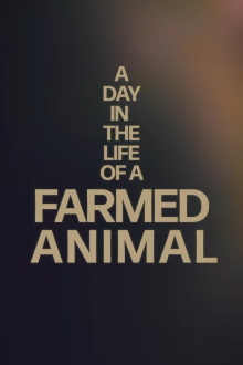 A Day in the Life of a Farmed Animal Trailer