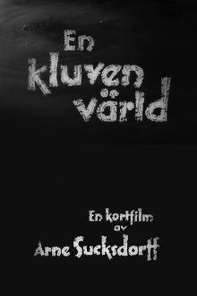 A Divided World Trailer