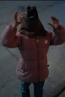 A Dog, A Stone Trailer