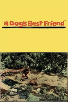 A Dog's Best Friend Trailer