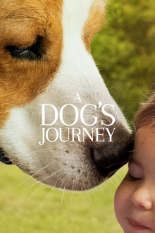 A Dog's Journey Trailer