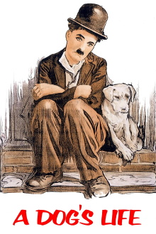 A Dog's Life Trailer