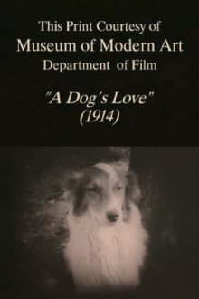 A Dog's Love Trailer