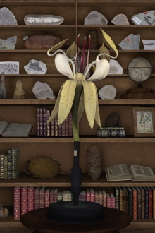 A Dying Leaf Should Be Able to Carry the Weight of the World Trailer