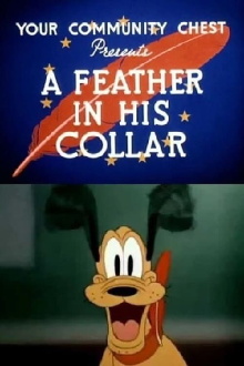 A Feather in His Collar Trailer