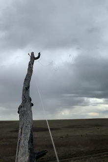A Few Attempts to Understand the Sky Trailer