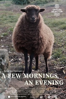 A Few Mornings, an Evening Trailer