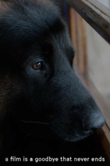 a film is a goodbye that never ends Trailer