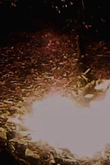 A Fire's Poem Trailer